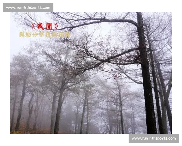 泰山困局:双线迷失下的重建之惑 泰山困局:双线迷失下的重建之惑